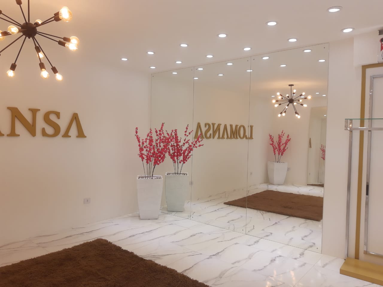 Fênix Montadora - Foto 02